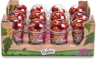 RedStar Cupido 12 x 250 gram
