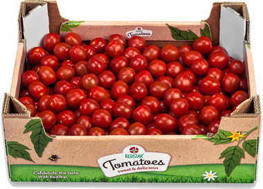RedStar Cupido 5 kilogram