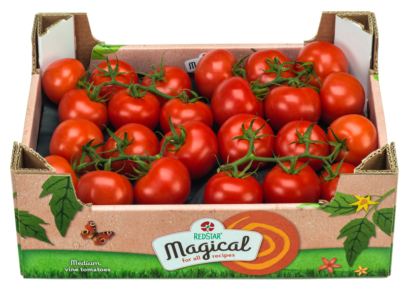 RedStar Magical 5 kilogram