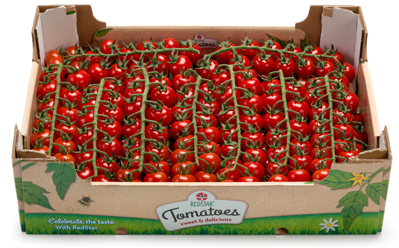 RedStar Passion 3 kilogram