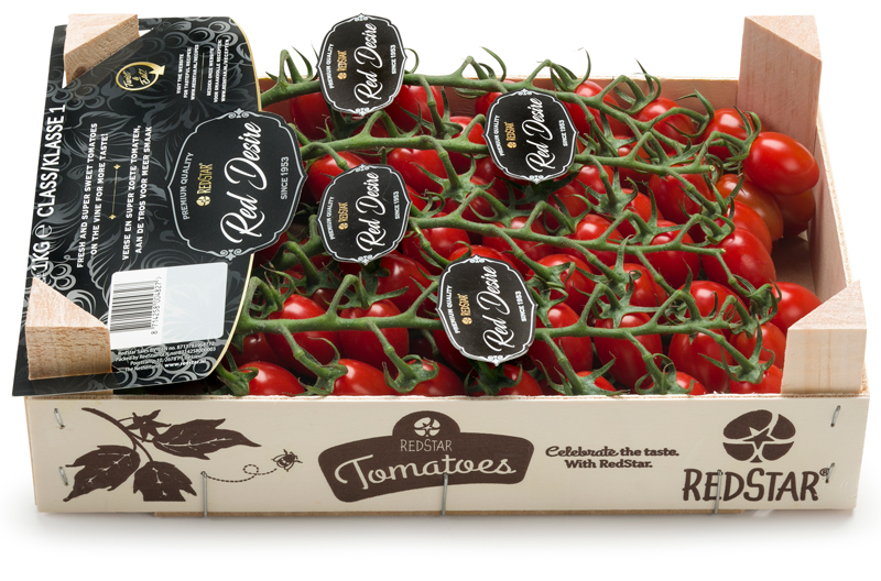 Red Desire 1 kilogram hout