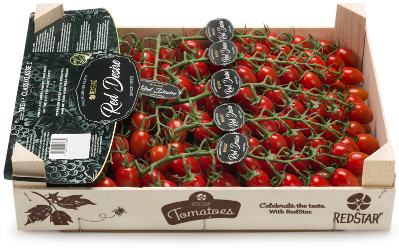Red Desire 3 kilogram hout