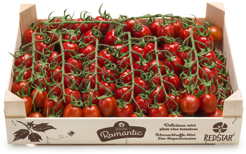 RedStar Romantic hout 3 kilogram
