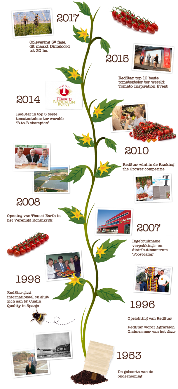 Timeline V4 zonder lijnen2