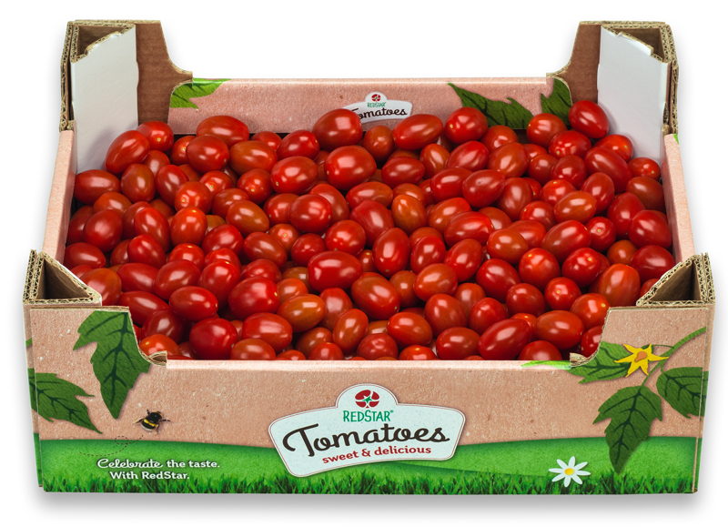 RedStar Vanity 4 kilogram
