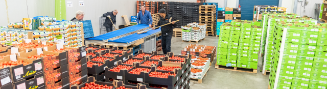 RedStar steunt de Voedselbanken ook in 2021 met tomaten RedStar steunt de Voedselbanken ook in 2021 met tomaten