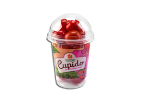 cupido_shaker cupido_shaker